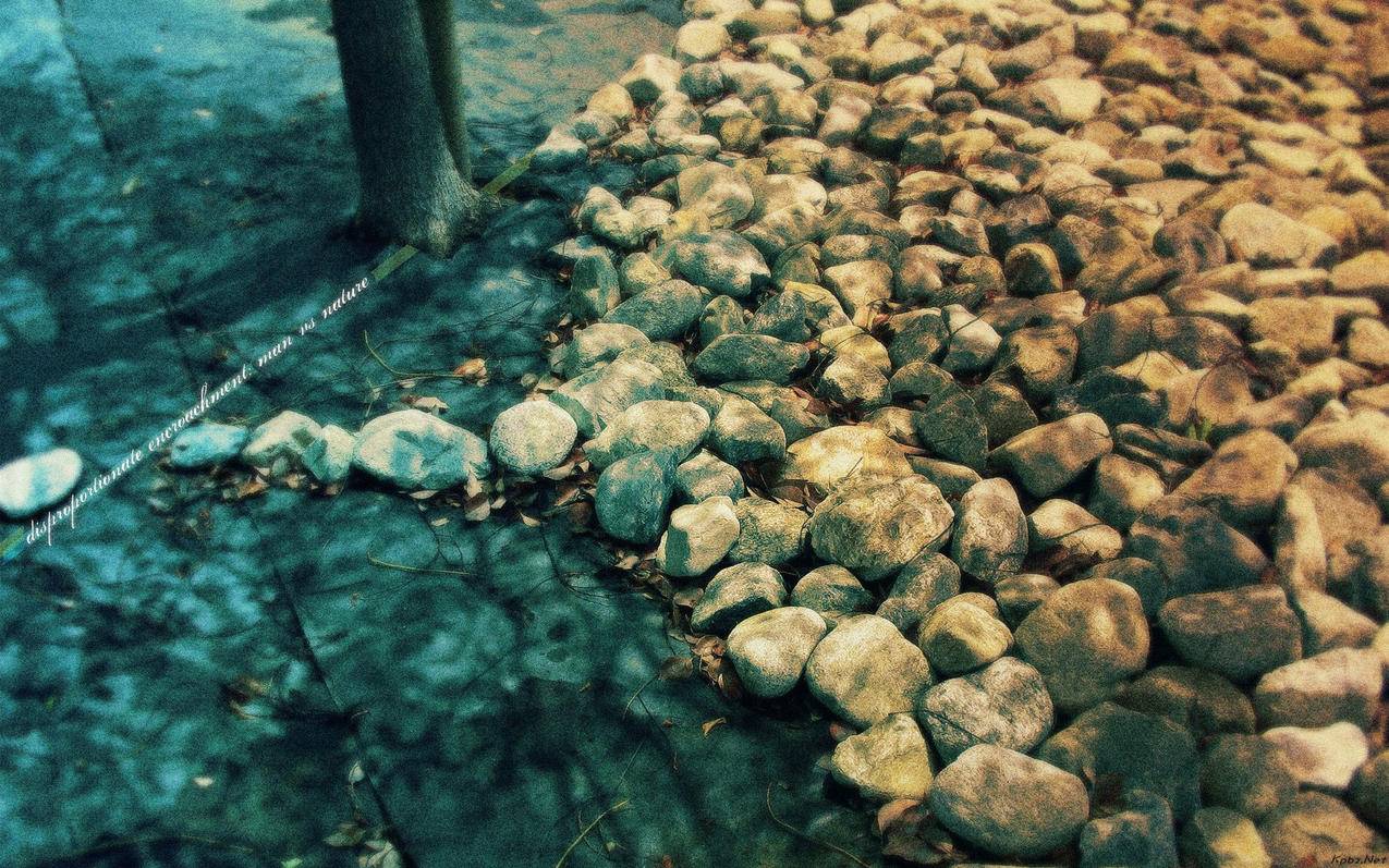 网红商城